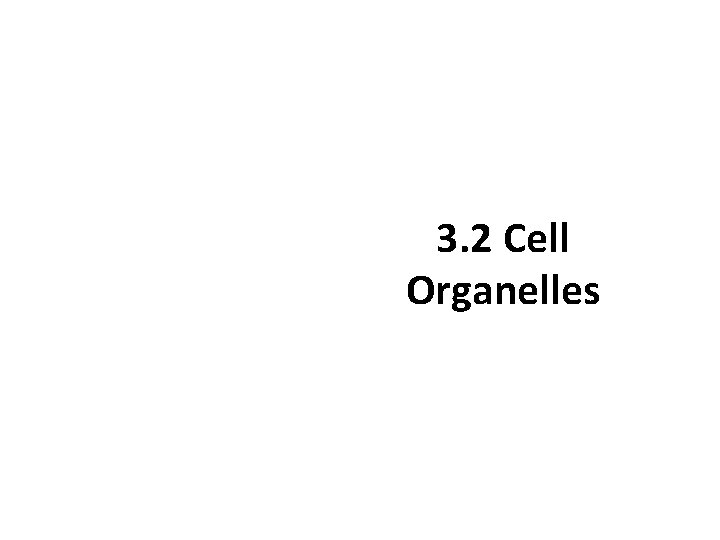 3. 2 Cell Organelles 