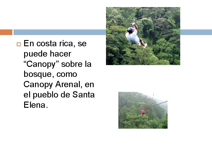  En costa rica, se puede hacer “Canopy” sobre la bosque, como Canopy Arenal,