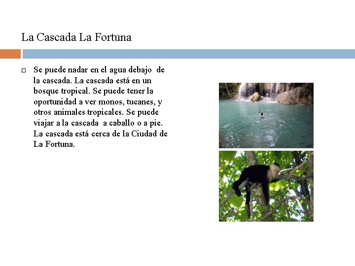 La Cascada La Fortuna Se puede nadar en el agua debajo de la cascada.