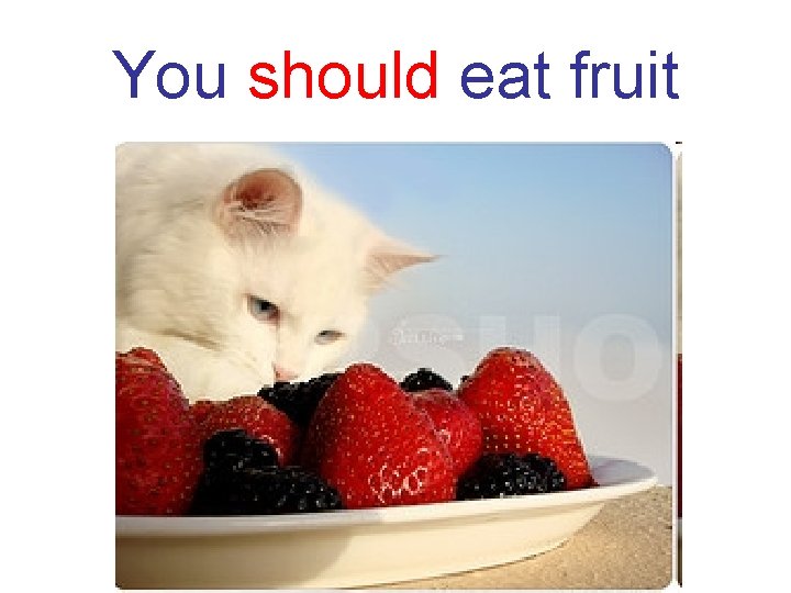 You should eat fruit 