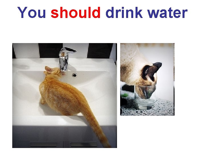 You should drink water 