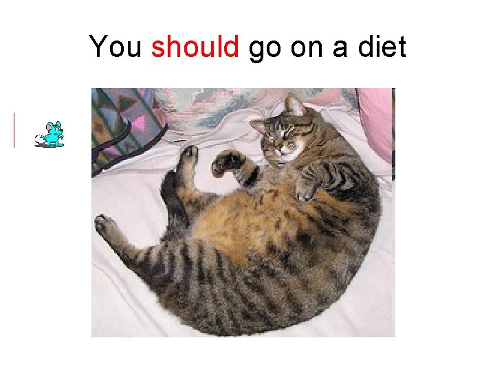 You should go on a diet 