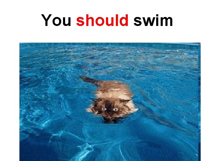 You should swim 