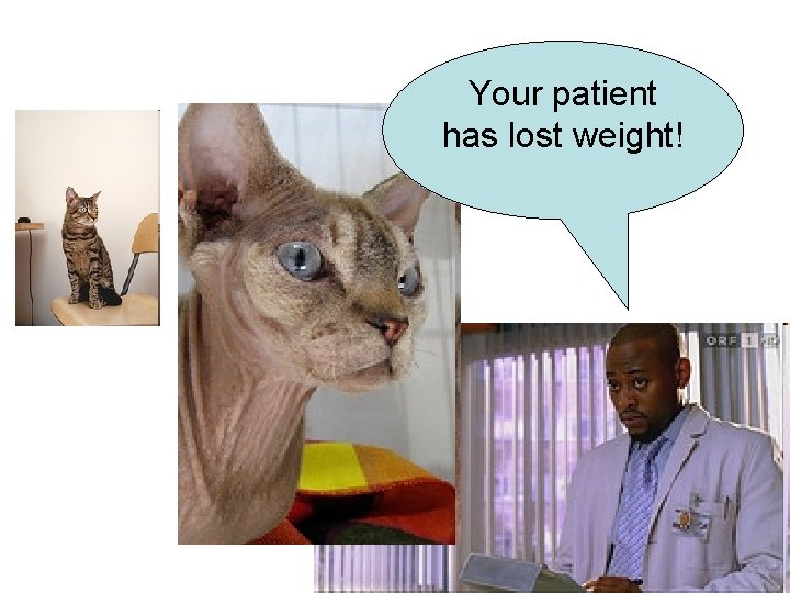 Your patient has lost weight! 