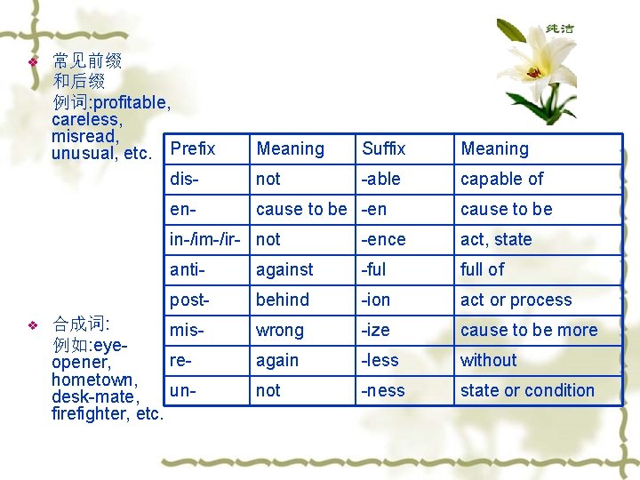 v 常见前缀 和后缀 例词: profitable, careless, misread, unusual, etc. Prefix disen- v Meaning Suffix
