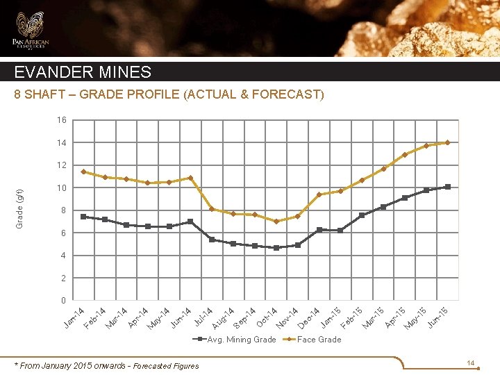 EVANDER MINES 8 SHAFT – GRADE PROFILE (ACTUAL & FORECAST) 16 14 Grade (g/t)