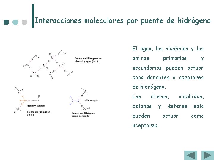 Interacciones moleculares por puente de hidrógeno El agua, los alcoholes y las aminas primarias Interacciones moleculares por puente de hidrógeno El agua, los alcoholes y las aminas primarias
