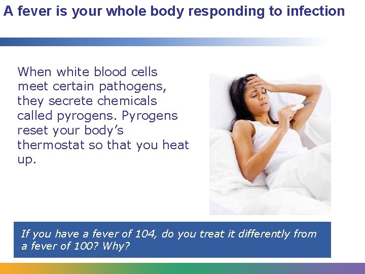 A fever is your whole body responding to infection When white blood cells meet