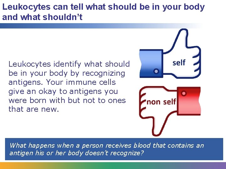 Leukocytes can tell what should be in your body and what shouldn’t Leukocytes identify