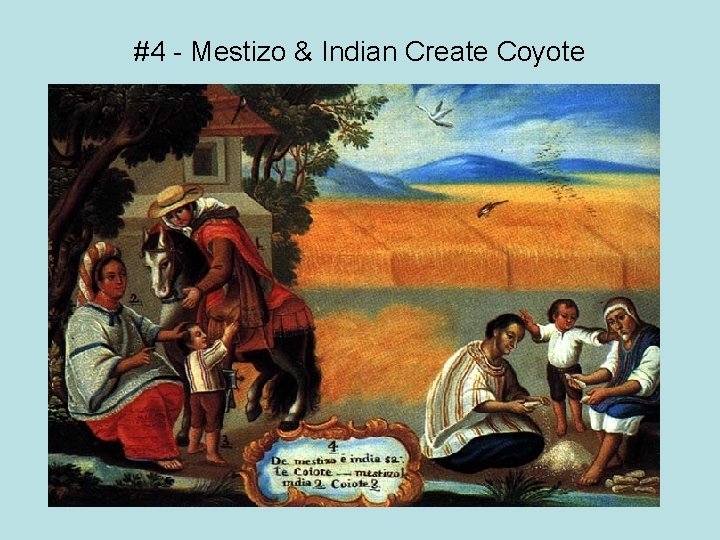 #4 - Mestizo & Indian Create Coyote 