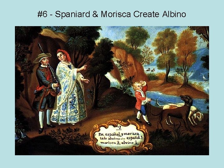 #6 - Spaniard & Morisca Create Albino 