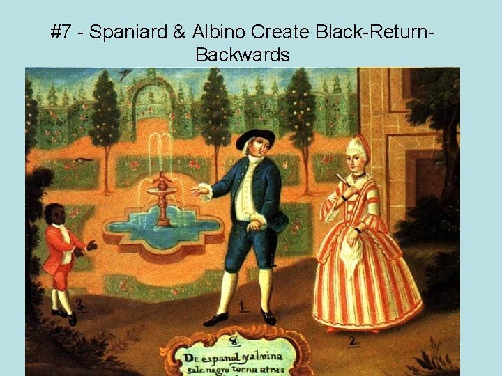 #7 - Spaniard & Albino Create Black-Return. Backwards 