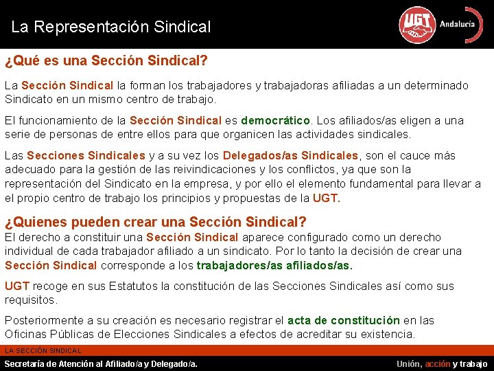 La Representación Sindical ¿Qué es una Sección Sindical? La Sección Sindical la forman los