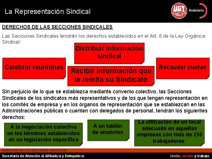La Representación Sindical DERECHOS DE LAS SECCIONES SINDICALES Las Secciones Sindicales tendrán los derechos