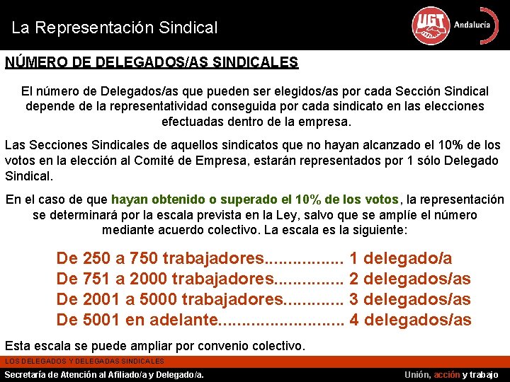 La Representación Sindical NÚMERO DE DELEGADOS/AS SINDICALES El número de Delegados/as que pueden ser