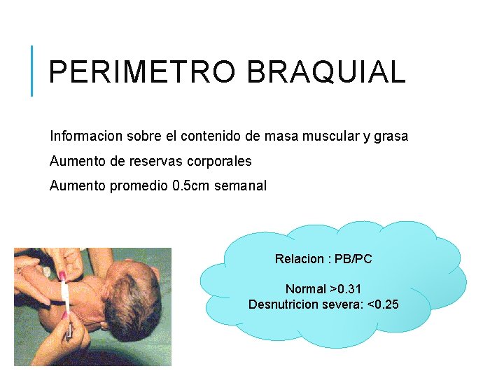 PERIMETRO BRAQUIAL Informacion sobre el contenido de masa muscular y grasa Aumento de reservas PERIMETRO BRAQUIAL Informacion sobre el contenido de masa muscular y grasa Aumento de reservas