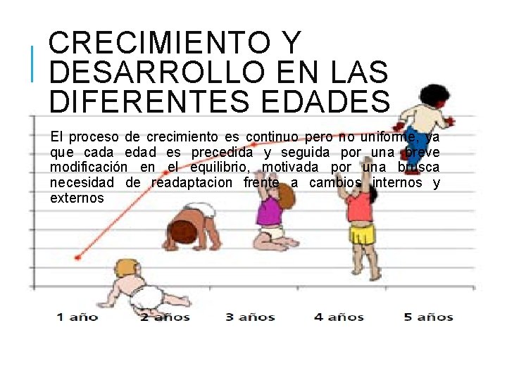 CRECIMIENTO Y DESARROLLO EN LAS DIFERENTES EDADES El proceso de crecimiento es continuo pero CRECIMIENTO Y DESARROLLO EN LAS DIFERENTES EDADES El proceso de crecimiento es continuo pero