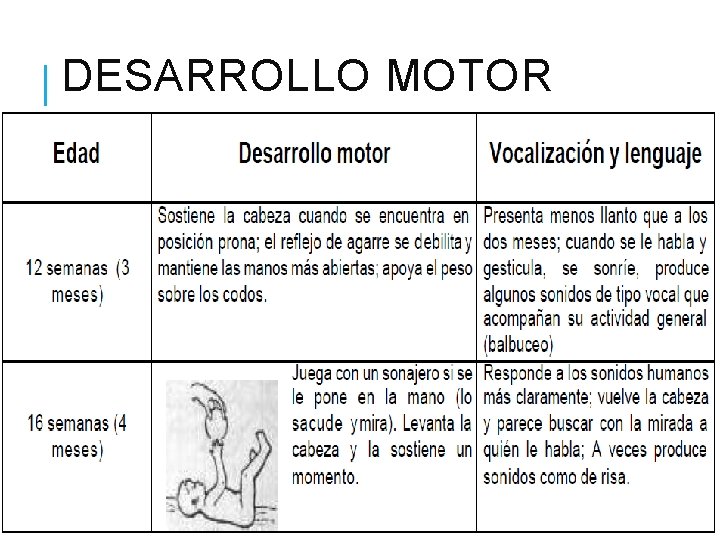 DESARROLLO MOTOR DESARROLLO MOTOR