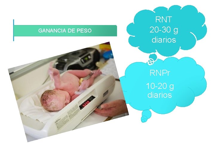 GANANCIA DE PESO RNT 20 -30 g diarios RNPr 10 -20 g diarios GANANCIA DE PESO RNT 20 -30 g diarios RNPr 10 -20 g diarios