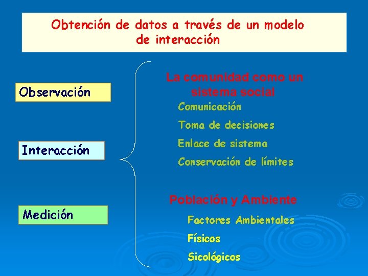 Obtención de datos a través de un modelo de interacción Observación La comunidad como Obtención de datos a través de un modelo de interacción Observación La comunidad como