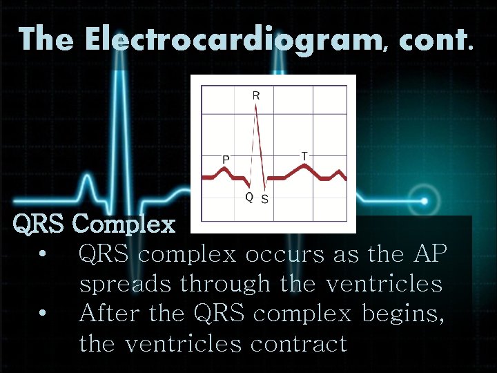 The Electrocardiogram, cont. QRS Complex • QRS complex occurs as the AP spreads through