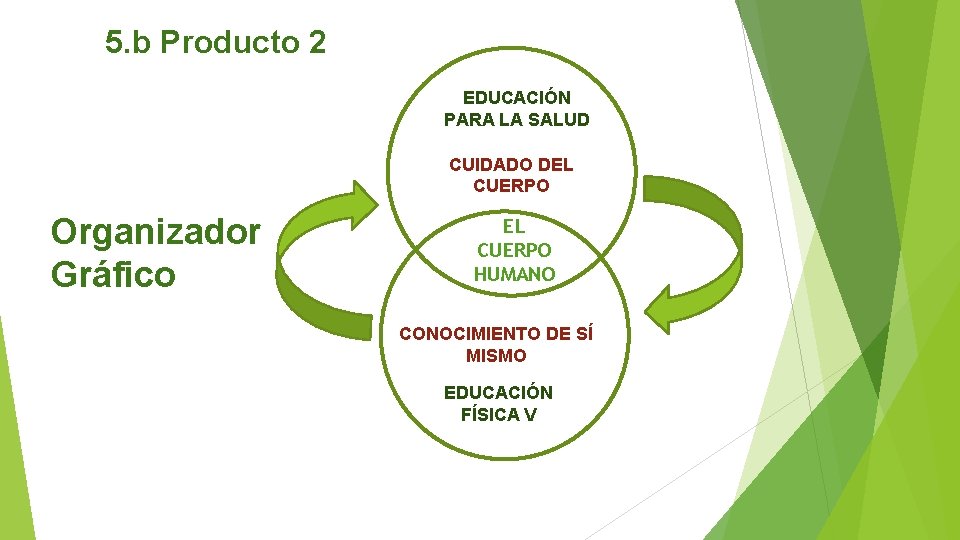 5. b Producto 2 EDUCACIÓN PARA LA SALUD CUIDADO DEL CUERPO Organizador Gráfico EL