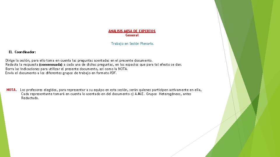 ANALISIS MESA DE EXPERTOS General Trabajo en Sesión Plenaria. EL Coordinador: Dirige la sesión,