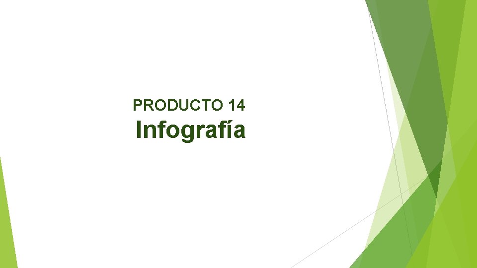 PRODUCTO 14 Infografía 