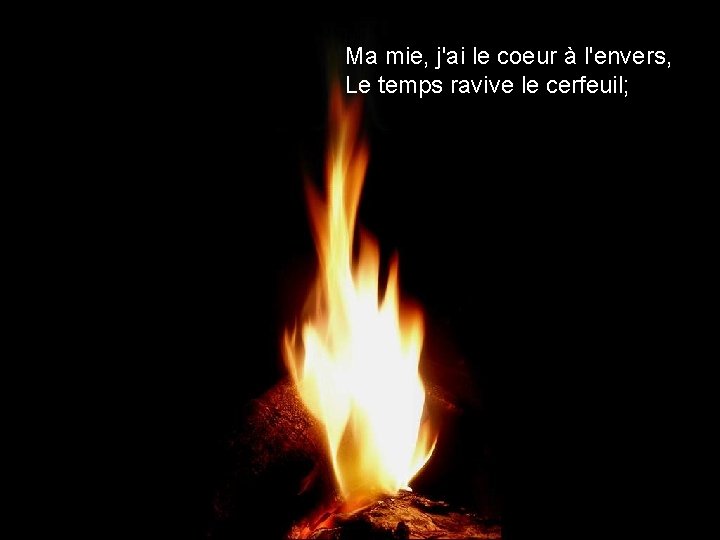 Ma mie, j'ai le coeur à l'envers, Le temps ravive le cerfeuil; 