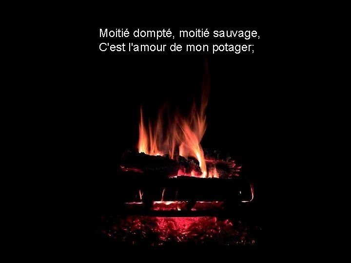 Moitié dompté, moitié sauvage, C'est l'amour de mon potager; 