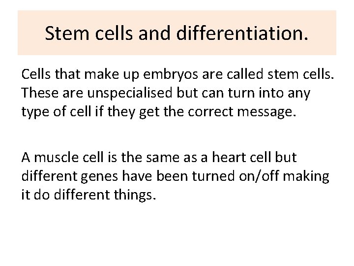 Stem cells and differentiation. Cells that make up embryos are called stem cells. These