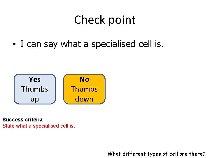 Check point • I can say what a specialised cell is. Yes Thumbs up