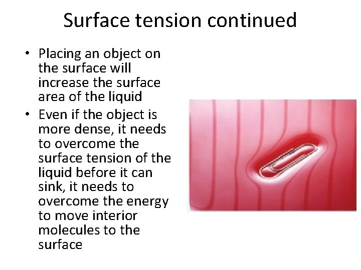 Surface tension continued • Placing an object on the surface will increase the surface