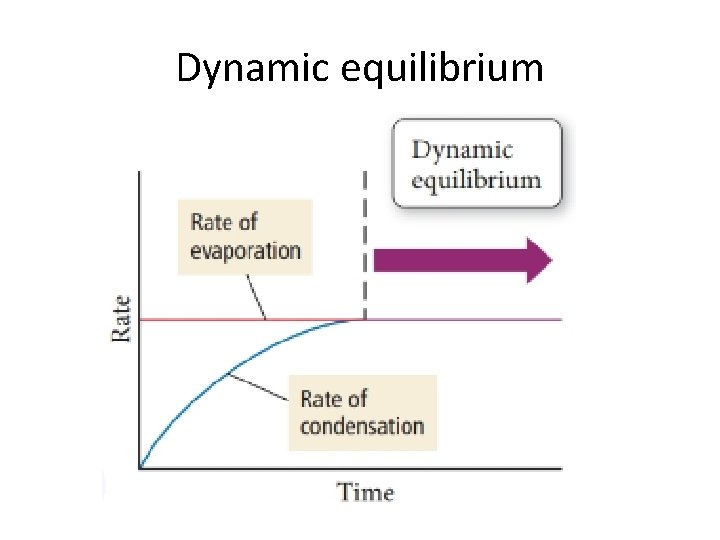 Dynamic equilibrium 