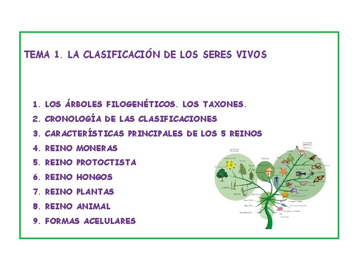BIOLOGÍA Y GEOLOGÍA Bachillerato La clasificación de los seres vivos TEMA 1. LA CLASIFICACIÓN