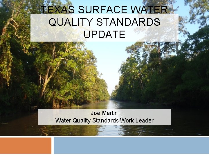 TEXAS SURFACE WATER QUALITY STANDARDS UPDATE Joe Martin Water Quality Standards Work Leader 