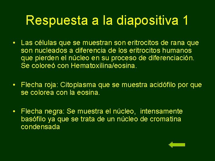 Respuesta a la diapositiva 1 • Las células que se muestran son eritrocitos de