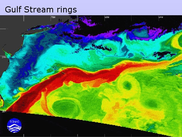 Gulf Stream rings 