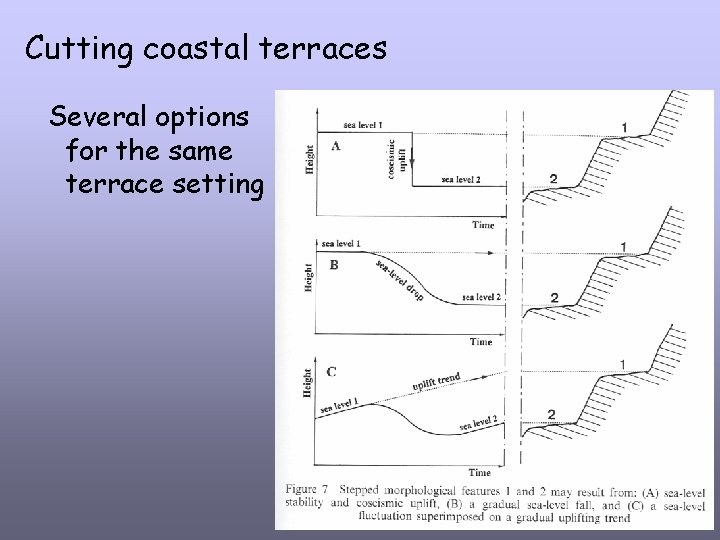 Cutting coastal terraces Several options for the same terrace setting 