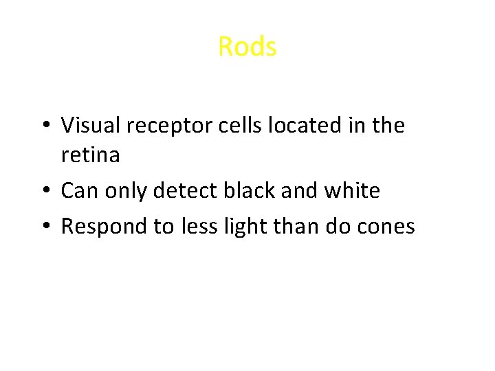 Rods • Visual receptor cells located in the retina • Can only detect black