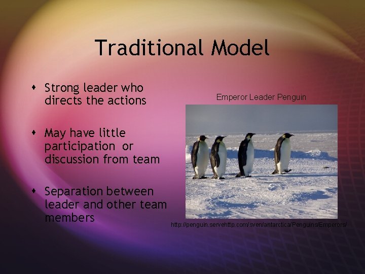 Traditional Model s Strong leader who directs the actions Emperor Leader Penguin s May