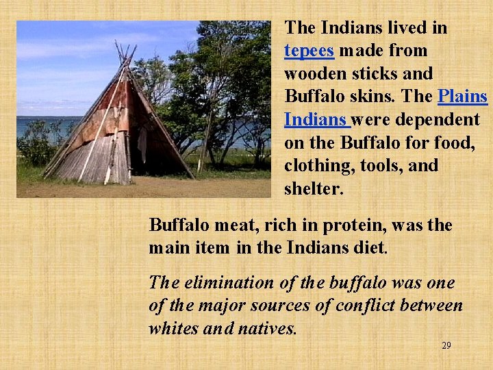 The Indians lived in tepees made from wooden sticks and Buffalo skins. The Plains