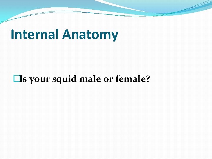 Internal Anatomy �Is your squid male or female? 