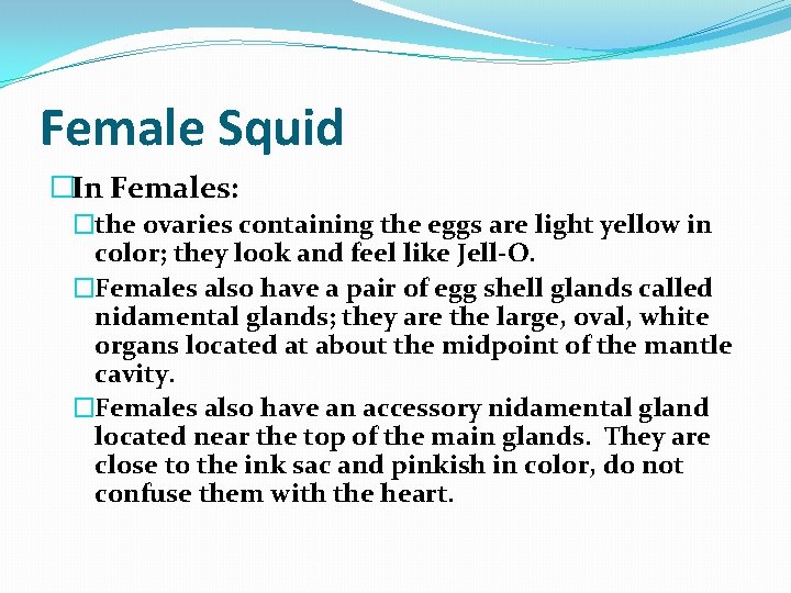 Female Squid �In Females: �the ovaries containing the eggs are light yellow in color;