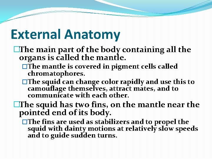 External Anatomy �The main part of the body containing all the organs is called