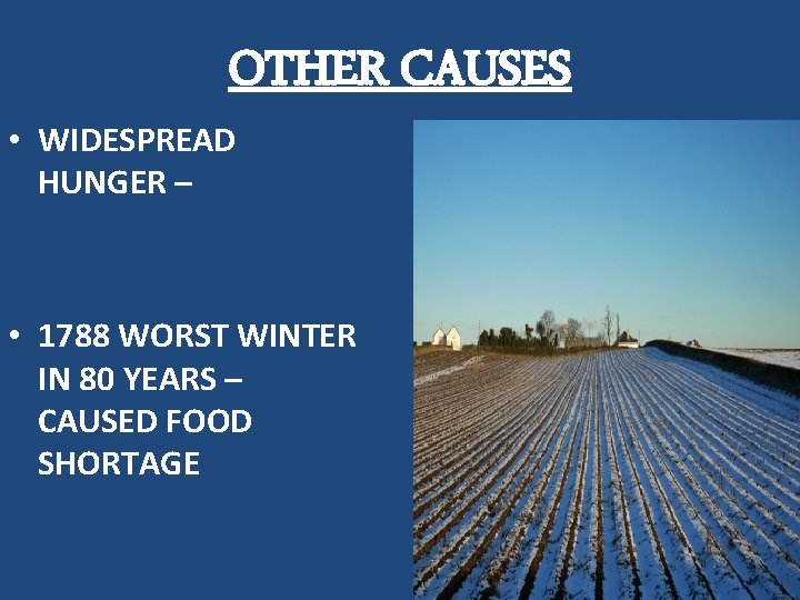 OTHER CAUSES • WIDESPREAD HUNGER – • 1788 WORST WINTER IN 80 YEARS –