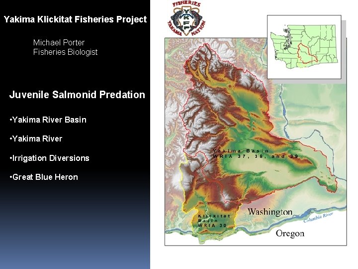 Yakima Klickitat Fisheries Project Michael Porter Fisheries Biologist Juvenile Salmonid Predation • Yakima River