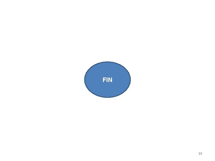 FIN 33 FIN 33