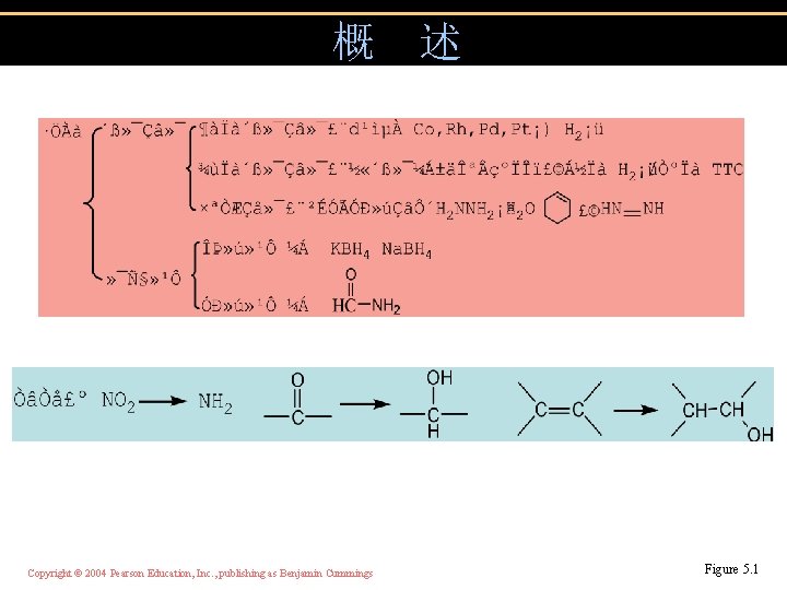概 Copyright © 2004 Pearson Education, Inc. , publishing as Benjamin Cummings 述 Figure