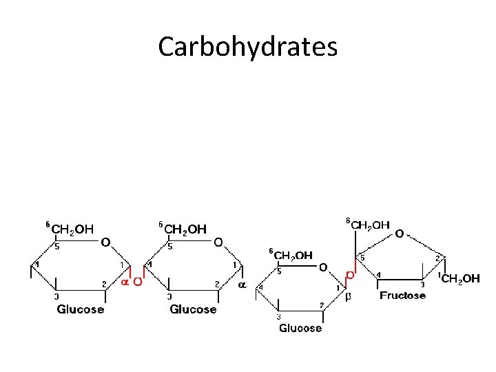 Carbohydrates 